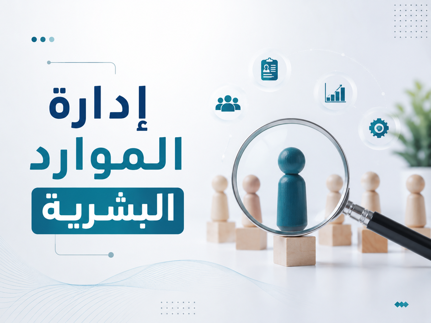 إدارة الموارد البشرية خطوة بخطوة